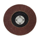 4" Flap Disc [10 Pack]