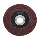 4-1/2" Flap Disc [10 Pack]