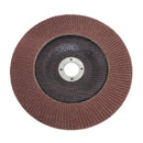 7" Flap Disc [10 Pack]